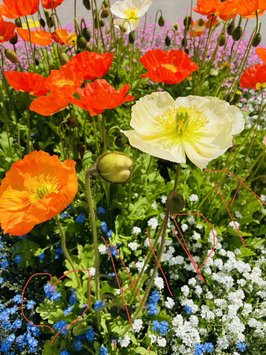 Happy happy Mother’s Day great Mum’s ❤️🎉🥂🌺🍀🌺 all the best,  Aida 🌺