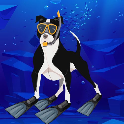 ProtonPits tweet media