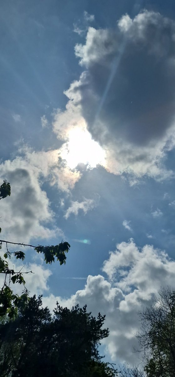 Jessieloo56's tweet photo. Sunny Sunday #Sunny #sunnysunday #sundayvibes #Sunday #relaxing #relaxwithmate #CHILLING #Chillout #sun #sunshine #Smile #happy https://t.co/nGS2ojxp9P