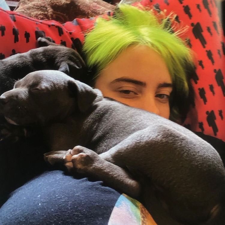 Iourdess's tweet photo. happy mother’s day to the best dog mom https://t.co/g8074U5A3H