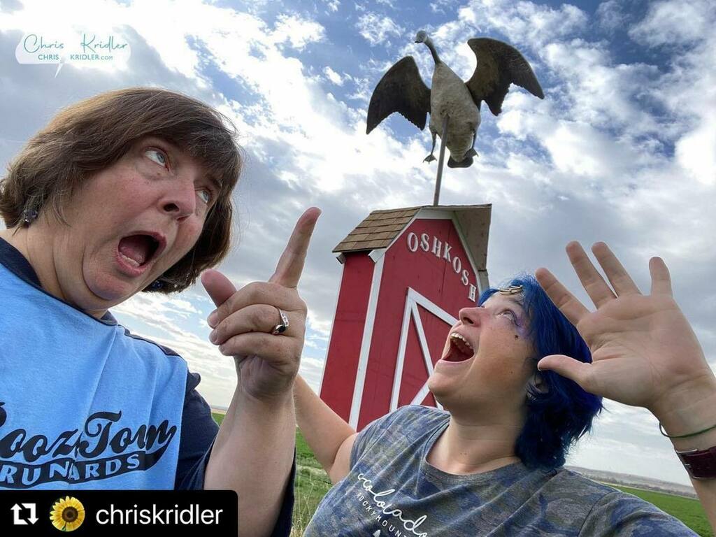 AletheaKontis's tweet photo. #Repost @chriskridler
・・・
Pterodactyl-size goose attacks @aletheakontis and myself in Oshkosh, Nebraska. #thebirds #stormchasing #lookup #ozorbust #funnelvision #roadsideamerica https://t.co/sFP173ruLU https://t.co/M9XGdwYfkk