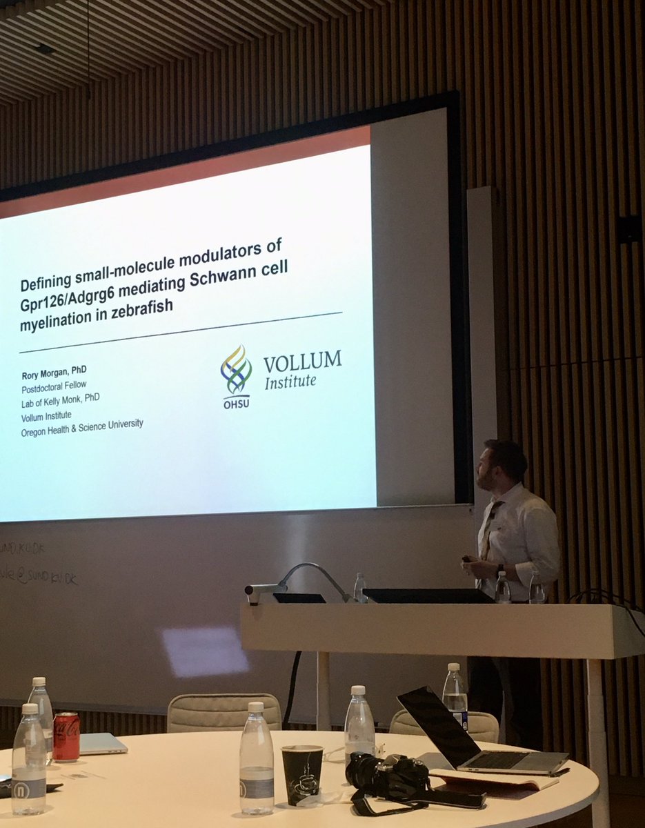 Thanks to Dr. Rory Morgan for another interesting zebrafish talk about defining small-molecule modulators of Gpr126 mediating Schwann cell myelination #adhesionGPCR2022