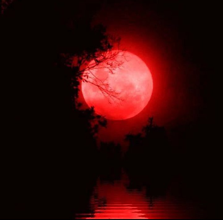 LordSTILL's tweet image. #REDSUN: When it comes to the #Neter &amp;amp; the manifestation of #Energy into the #PhysicalPlane of #Existence NOT EVEN #1Death can FADE *it's* #Creator &amp;amp; crafters...