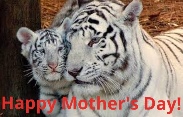 Cheers to Mom! Happy Mother’s Day from White Tiger Vodka!