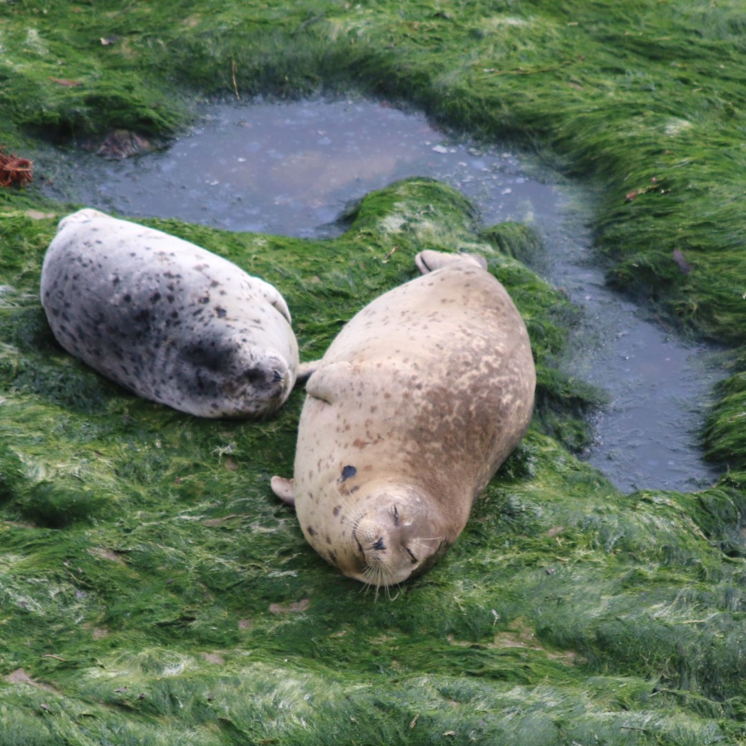 Happy Mother's Day! Thank you, moms, for leading, feeding, protecting and hanging out with us. We luv ya! #MothersDay