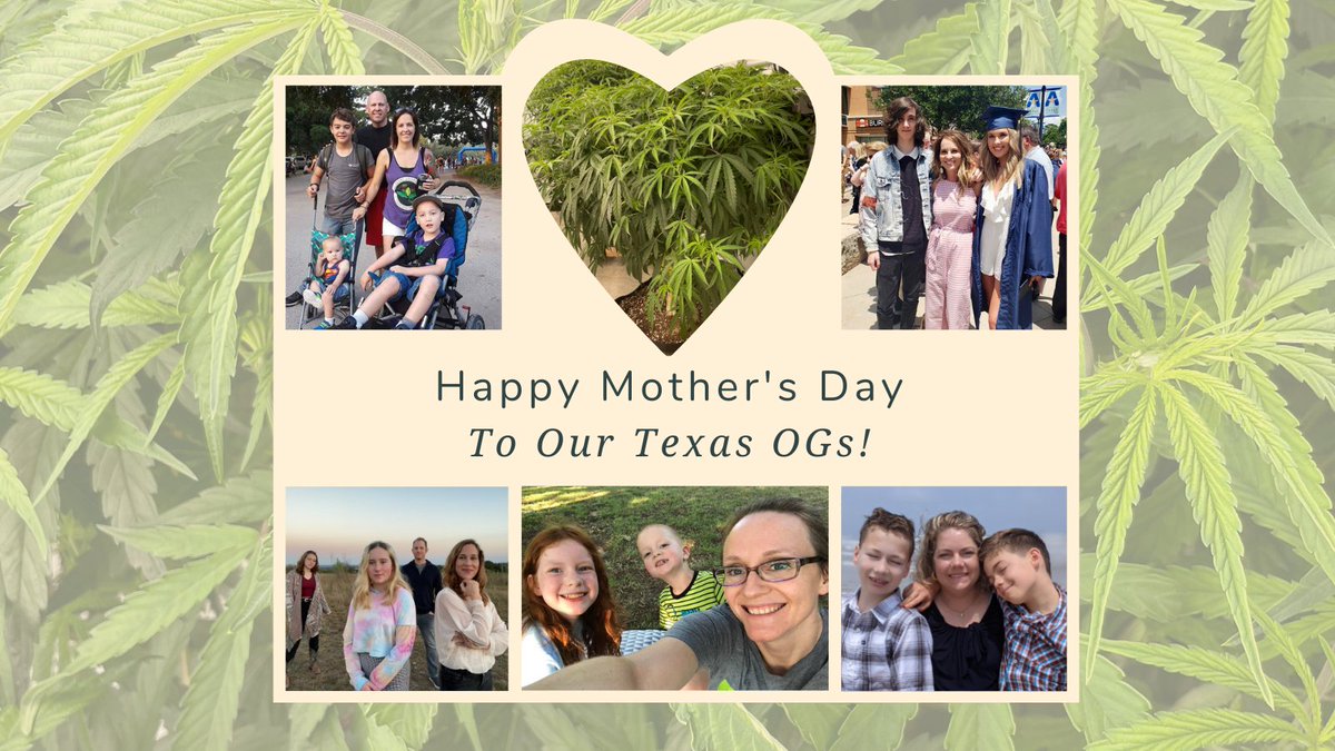 TexasOriginalCC's tweet photo. Happy Mother's Day to all moms - both human and plant alike. We are so thankful for our Texas OG moms and caregivers! Your strength and guidance are extraordinary and we are so thankful each of you is a part of our TXOG family. #MothersDay #TXOG https://t.co/Qzh8MGGgzL