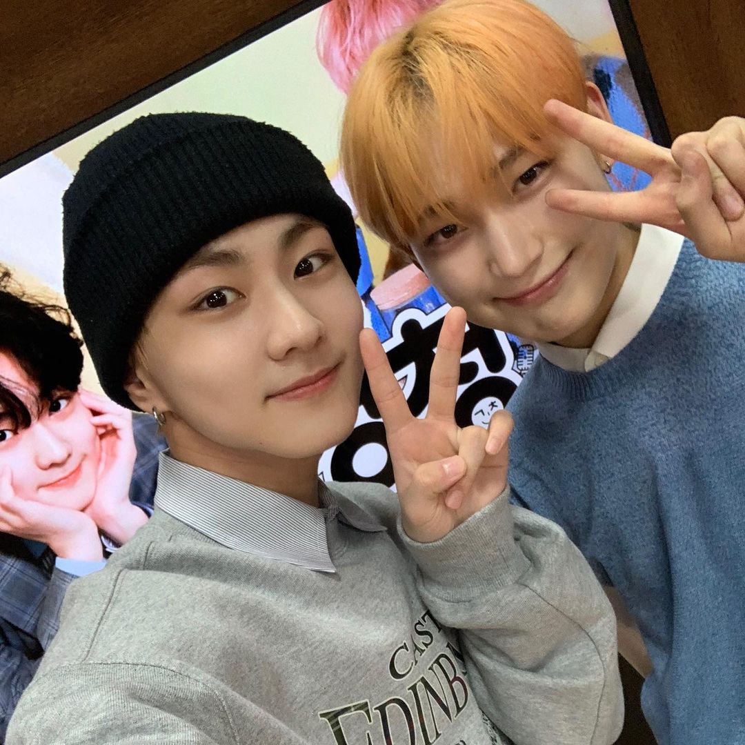 푸울 tweet media