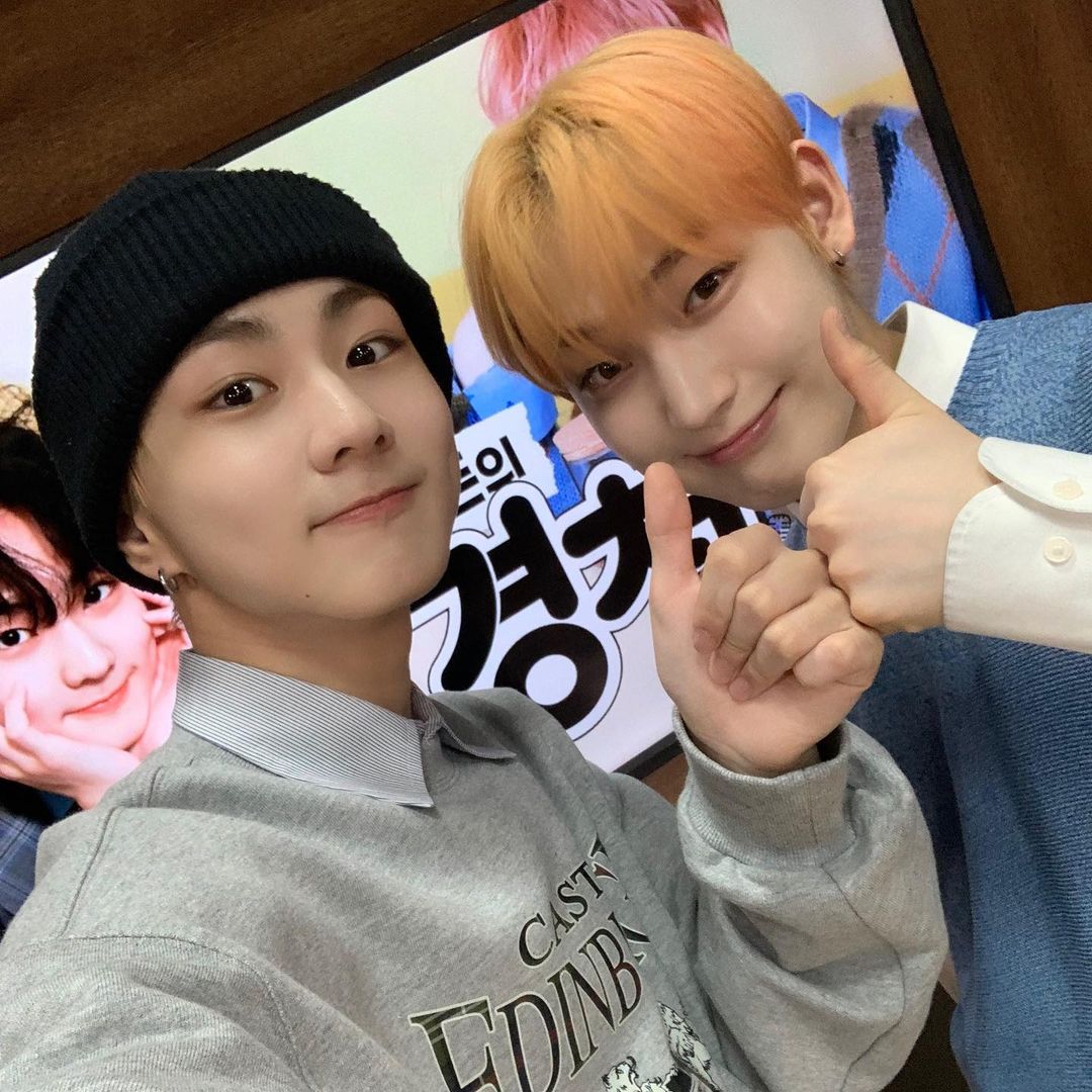 푸울 tweet media