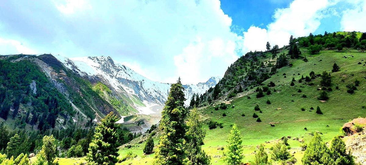 YawarOfficial's tweet photo. @GappaValley is a beautiful tourism spot in the District Nagar,GB. #Gappavalley is not less than the paradise for knightliness loving tourists. From tourism point of view this place always welcomes tourists with its natural jungles, fountain, grasslands and Rakaposhi peak. https://t.co/BQKQofp5LA