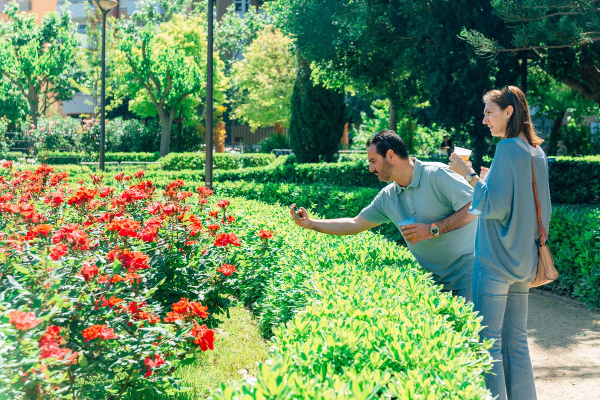 districteee's tweet image. Si pots celebrar la vida i, de la mateixa manera, posar en valor la teua ciutat, per què no intentar-ho? Hui ho hem fet a Orriols, a través de @SerialParc, la nostra eina per activar espais verds de València. I ha sigut ben bonico.