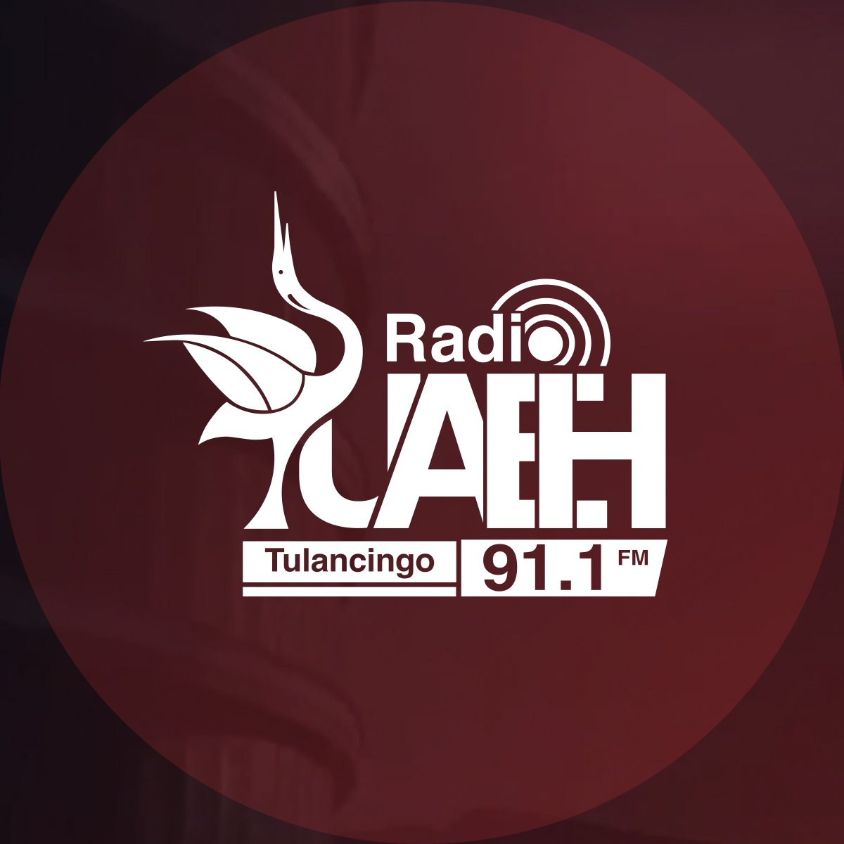 UaehRadio's tweet photo. #NuevaFotoDePerfil https://t.co/3gOHkg1xPa