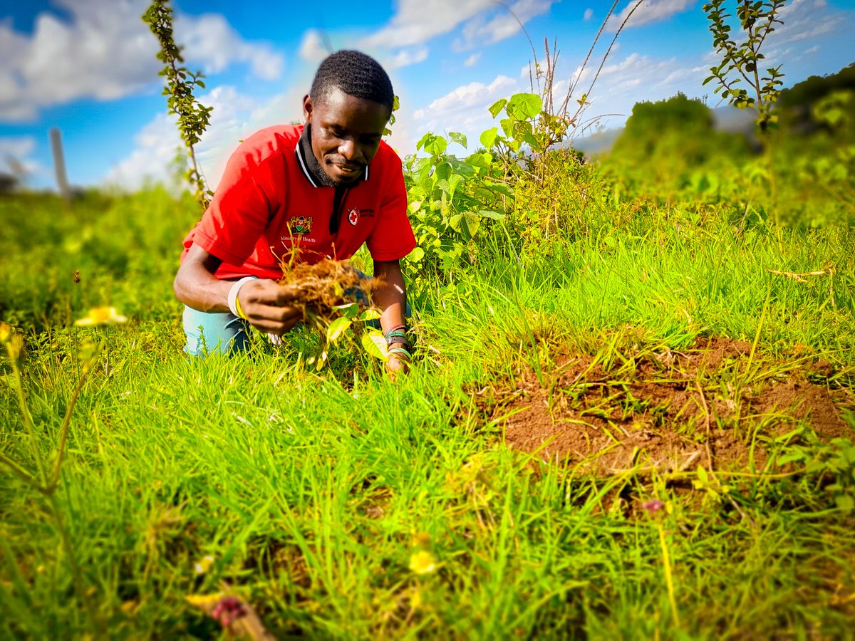 LamechLamarch25's tweet photo. I planted these trees today in celebrating &amp; honouring all amazing mothers out there and  ofcourse to mother nature as well. 

Happy #MothersDay 🌱🌱.

#ClimateCrisis #FridaysForFuture #SaveSoil #conservation #ClimateEmergency #ClimateActionNow #GenerationRestoration https://t.co/G6kFN3wGJR