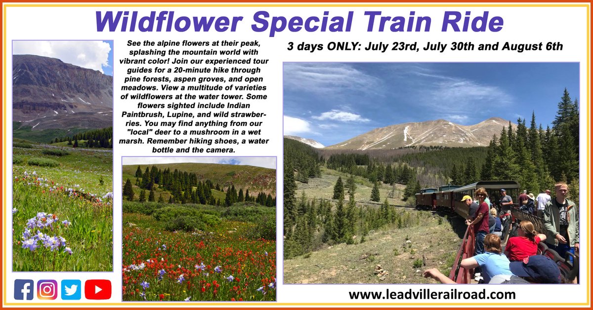 LeadvilleRR's tweet photo. Happy #mothersday2022 to all the Moms who keep their families #ontrack. 🚂 What better way to celebrate than with flowers! 💐#lastminute #mothersdaygift #wildflowers tours this summer #tix @ https://t.co/snsE3kwm94  #allaboard https://t.co/YBpvRr9RHd