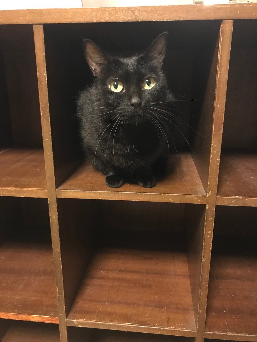 Hat Hataya Hat Twitter