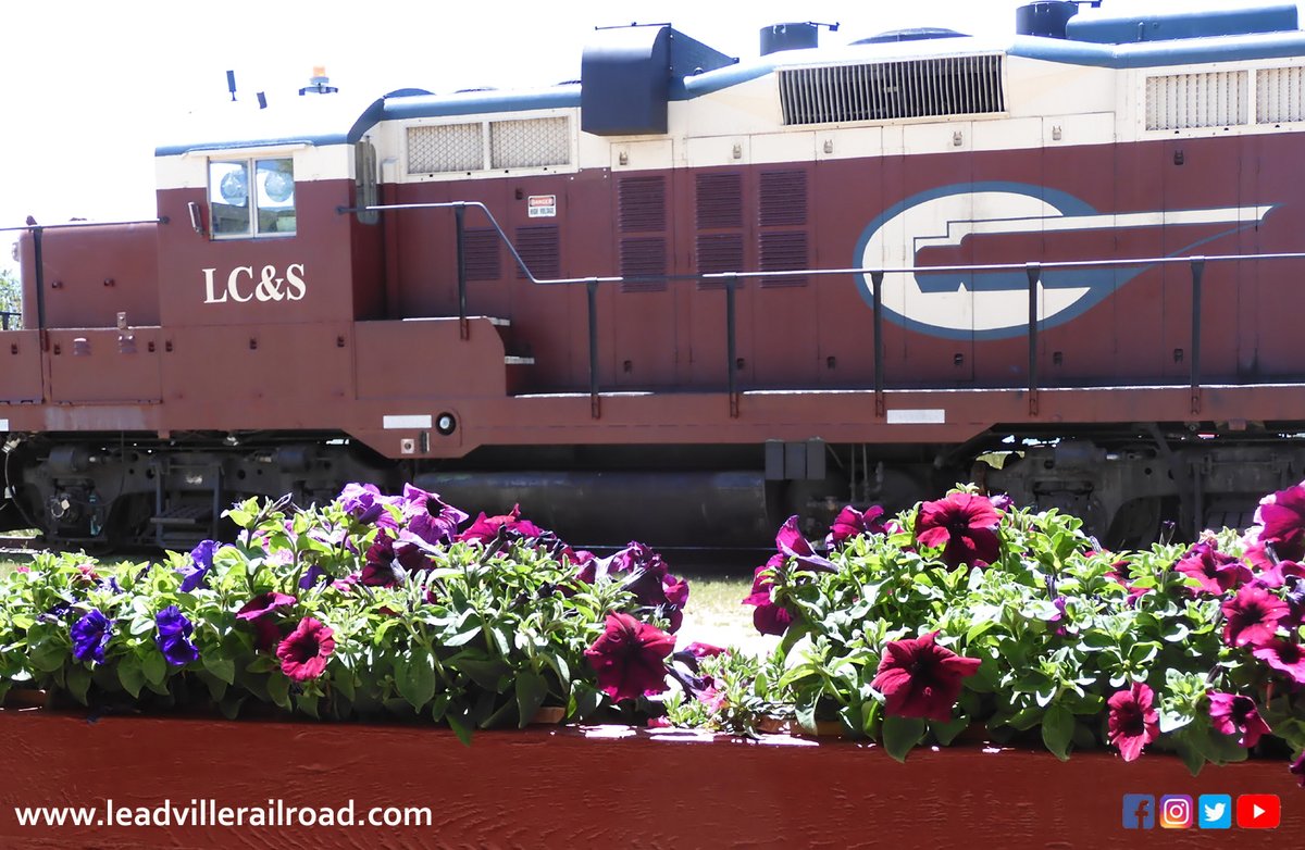LeadvilleRR's tweet photo. Happy #mothersday2022 to all the Moms who keep their families #ontrack. 🚂 What better way to celebrate than with flowers! 💐#lastminute #mothersdaygift #wildflowers tours this summer #tix @ https://t.co/snsE3kwm94  #allaboard https://t.co/YBpvRr9RHd