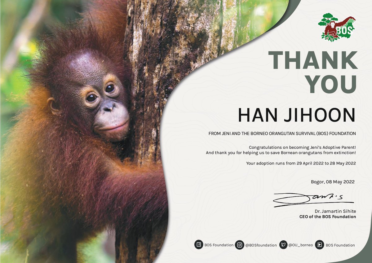 jhoonluvy's tweet photo. H+8  to celebrate Jihoon's first anniversary 🐣💕

adopted JENI on behalf of Han Jihoon

❝ They motivate us to play, love, seek adventure, and be loyal ❞ - Tom Hayden

Thank you @bornean_OU 
#JIHOON #한지훈 #TraineeA @trainee_a https://t.co/RAjsOzYiZz