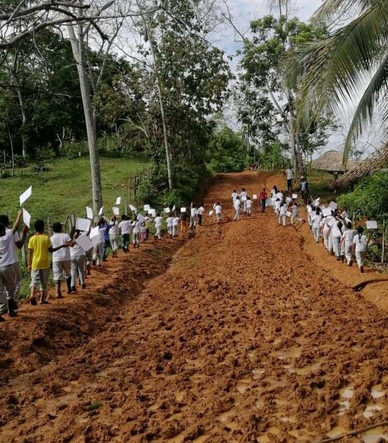 JeanCarlosRiva's tweet photo. La imagen del día: 

A esta hora desde zona rural de Tierralta, Córdoba, niños salen con banderas blancas implorando un cese a la violencia. 🏳️ https://t.co/9EyW5QPeh1