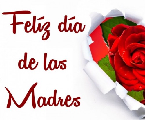 jcontin13's tweet photo. Una madre es alguien que te apoya cuando lloras, que se enorgullece cuando tienes éxito y tiene fe en ti, incluso cuando tú no la tienes.

Felicitaciones a todas las Madres !

"Muchas maravillas hay en el universo; pero la obra maestra de la creación es el corazón materno" https://t.co/lvuHefWyfn