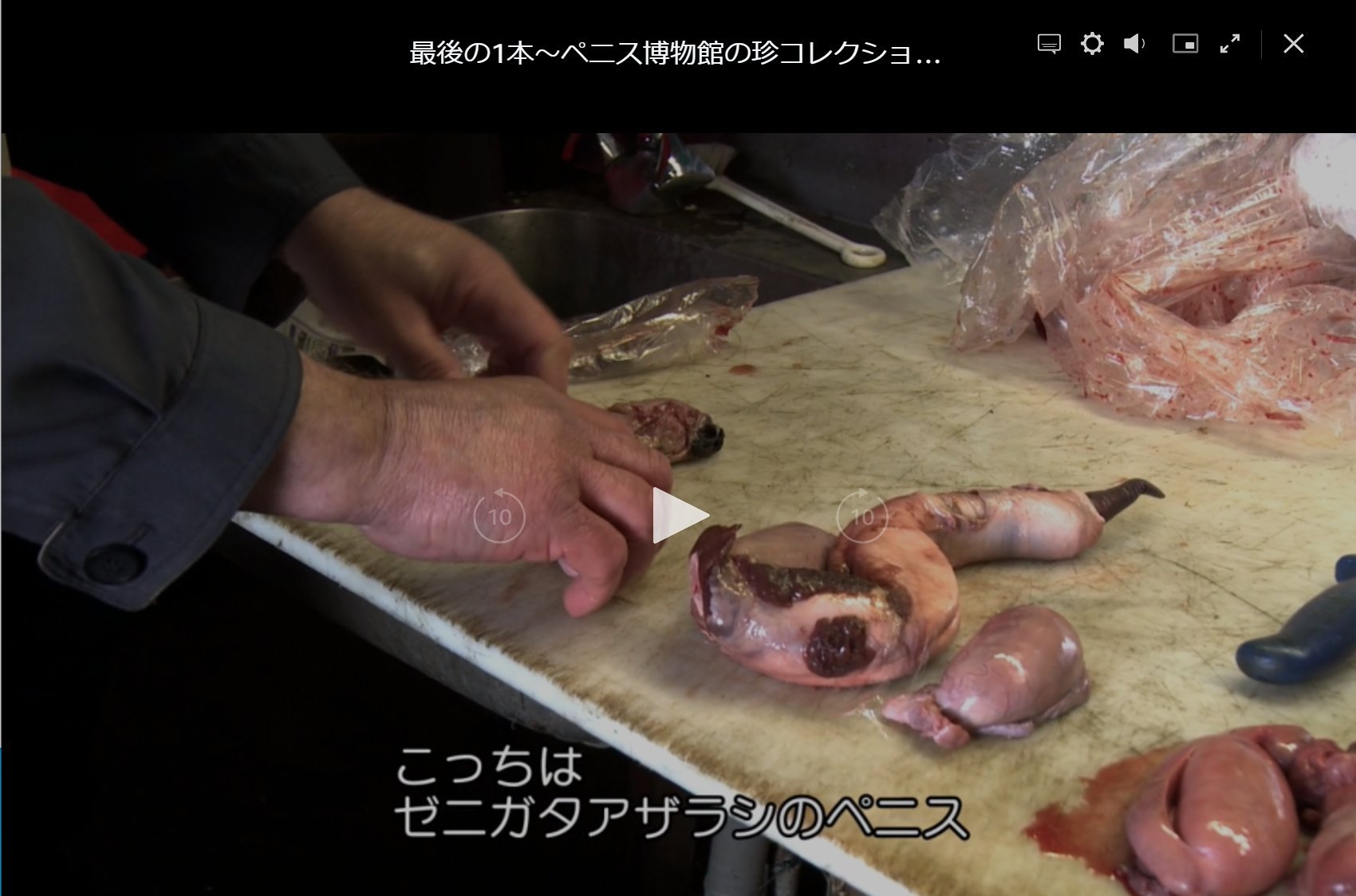 えいとびーと 最後の一本 ペニス博物館の珍コレクション ペニス博物館 あらゆるペニスが収蔵される 人以外は 館長は人間の ペニスを飾ると一躍決心 アイスランドのドンファンに交渉を行い 死後に陳列の承諾を得る 米国からも依頼が来るも彼の えいとびーと 最後の一本 ペニス博物館の珍コレクション ペニス博物館 あらゆるペニスが収蔵される 人以外は 館長は人間の ペニスを飾ると一躍決心 アイスランドのドンファンに交渉を行い 死後に陳列の承諾を得る 米国からも依頼が来るも彼の