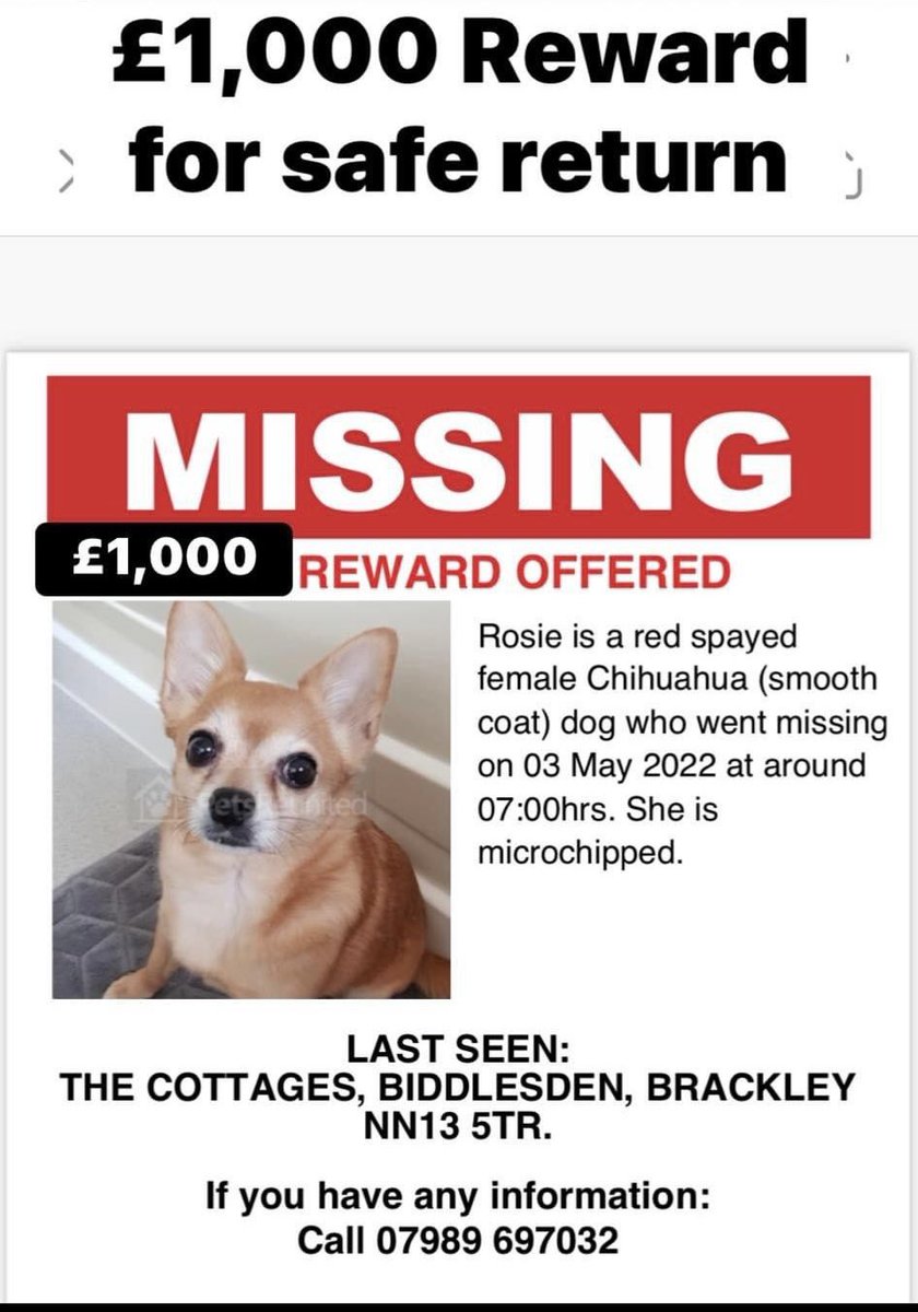 rosiedoc666's tweet photo. MISSING MILES AWAY FROM HOME IN UNFAMILIAR AREA (at holiday home)
Owner beside herself with grief
ROSIE 3/5/22 #Biddleston #Brackley #NORTHANTS ESCAPED GARDEN #NN13
Female/OLDER ADULT #Chihuahua tan & white
SPAYED / CHIPPED
https://t.co/r7kvRPbefC
https://t.co/G8DoL8TWlp https://t.co/MOvjfx8EC4