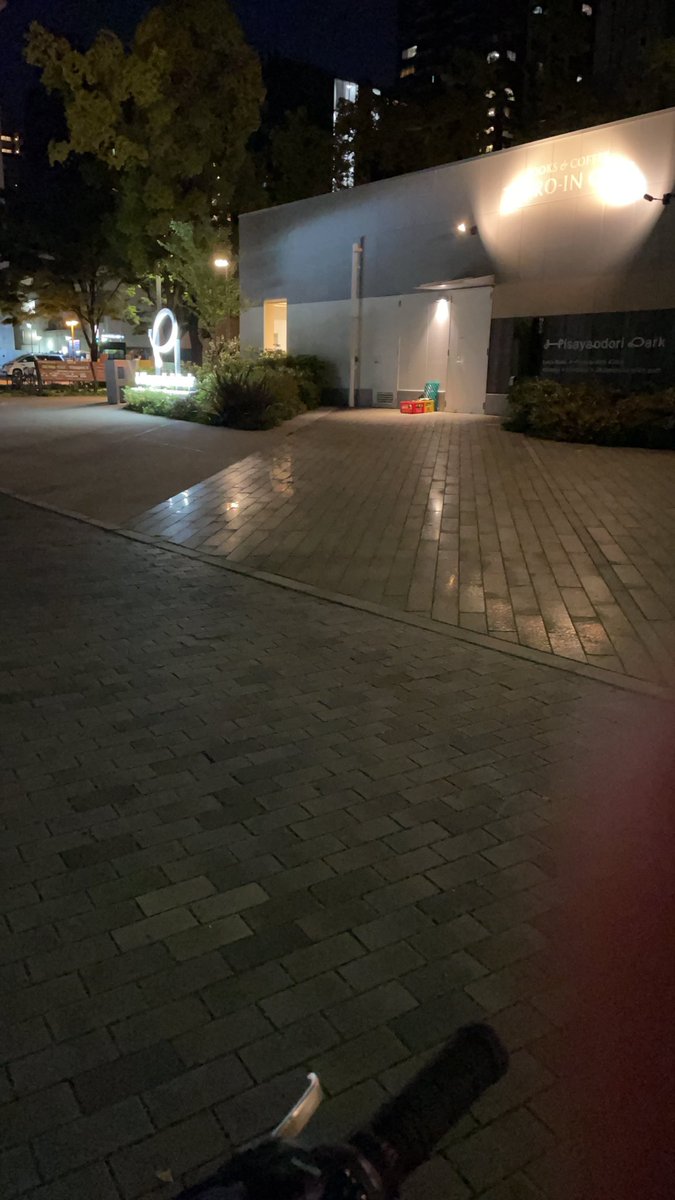 ライリー tweet media