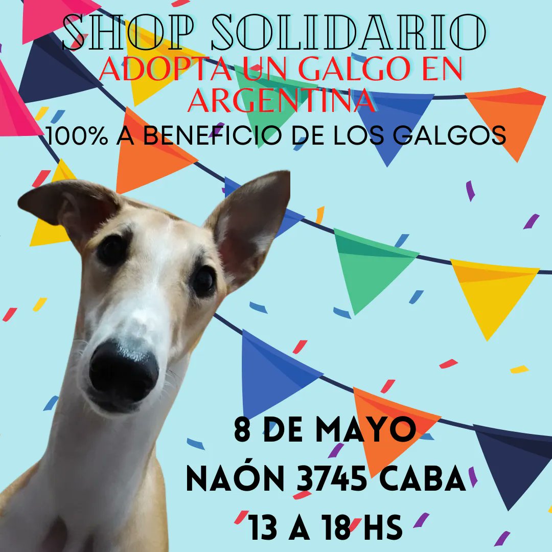 Hoy!!
