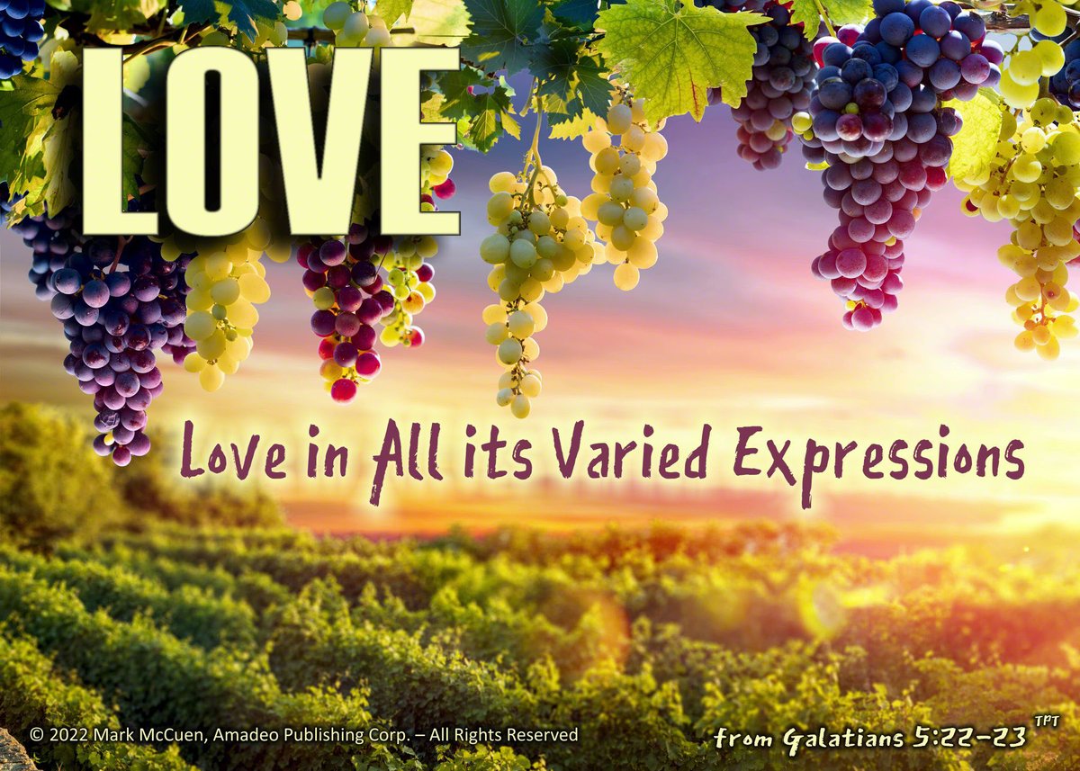 MarkMcCuenLOL's tweet photo. “But the fruit produced by the Holy Spirit within you is divine love in all its varied expressions:
… Never set the law above these qualities, for they are meant to be limitless” - Galatians 5:22-23 TPT
https://t.co/LSAh53R9BP
#LoveGodFirst #LovePeopleAllWays #LoveOthersLoudly https://t.co/JHx7UnuZGh
