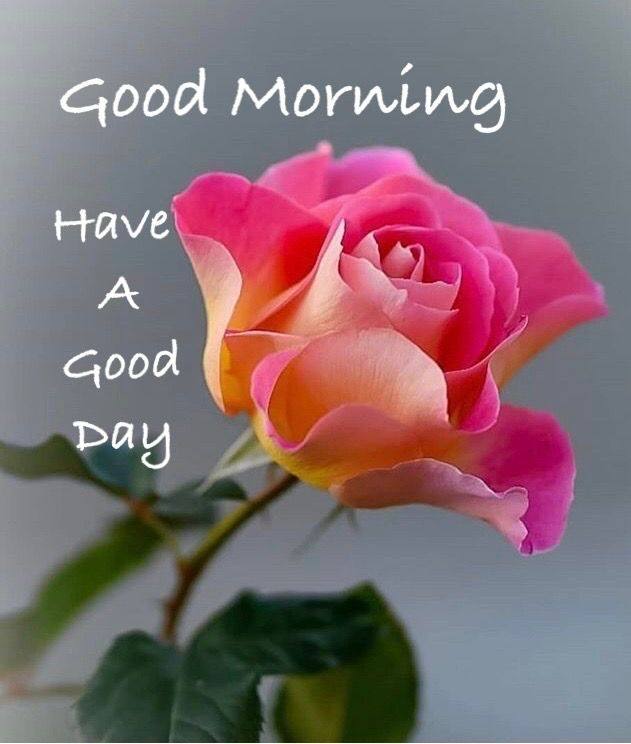 Today is Mother's Day and you can buy her a bitcoin for $34K. #Bitcoin🤣😂