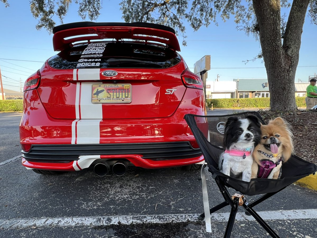 ArtieTheR3D's tweet photo. Look at my Dogs. My dogs are amazing.
#carsandcoffee this morning.
#FocusST #ModifiedFords #Stututu https://t.co/FfqFxYsWCC