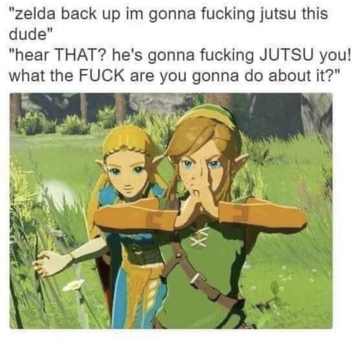 ComicKageS's tweet photo. Lmfao Link isn’t playing along, he will do it 😂 #BreathoftheWild #NARUTO #funny #anime #animememes #Shonen https://t.co/s5HQb1Nxbq