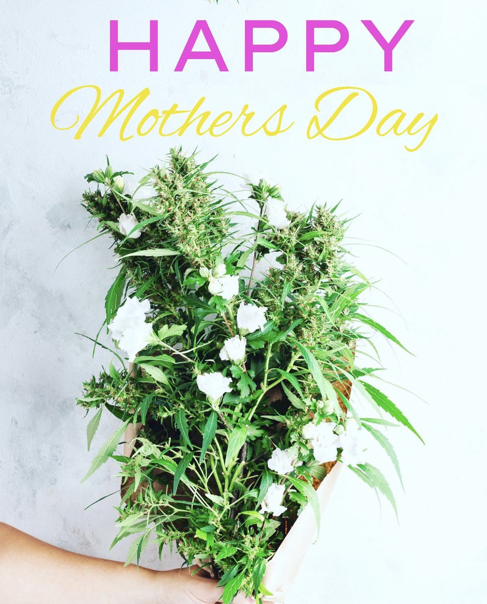 WeedOrganic's tweet photo. Happy Mother’s Day! @weedorganic🌿 https://t.co/0eLva2fc5I #mothersday #organic #organiccannabis #organicweed #isyourweedorganic https://t.co/fImHghtaYC