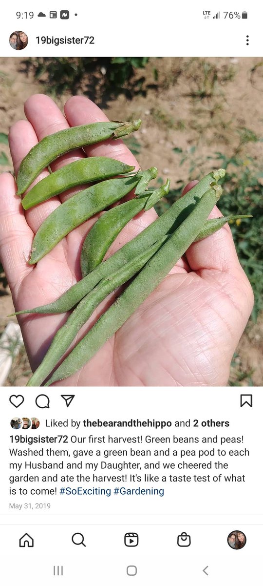 19bigsister72's tweet photo. Reading this post from 2019 made me laugh. I still get excited when I see the first vegetables appear.
#EasilyAmused
#GrowSomething
#BecauseFood https://t.co/c31ss5BnJe