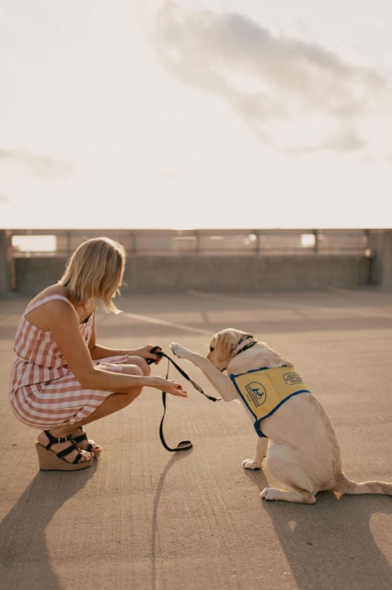 alliedeno's tweet photo. $10,000 would change my life or business because I can pay off my student loans, move out of in-laws, and finish publication for my children’s book about advocating for service dogs and kids with disabilities. @marcuslemonis https://t.co/O2M0ia8b9X