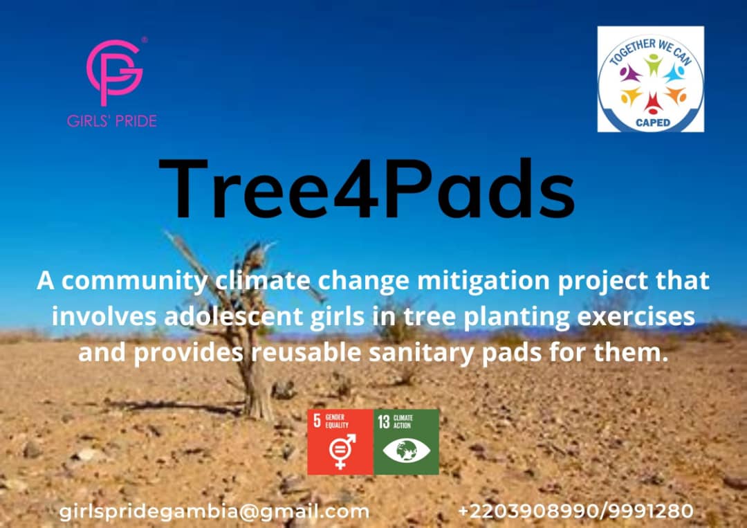caped_gambia's tweet photo. Tree4Pads will be implemented by @GirlsPrideGam in collaboration with CAPED. Girls in rural Gambia will be provided with reusable sanitary pads for every tree they plant in their community during community tree planting exercises.We will be implementing the pilot on May 28th. https://t.co/xSYrpv6wsA