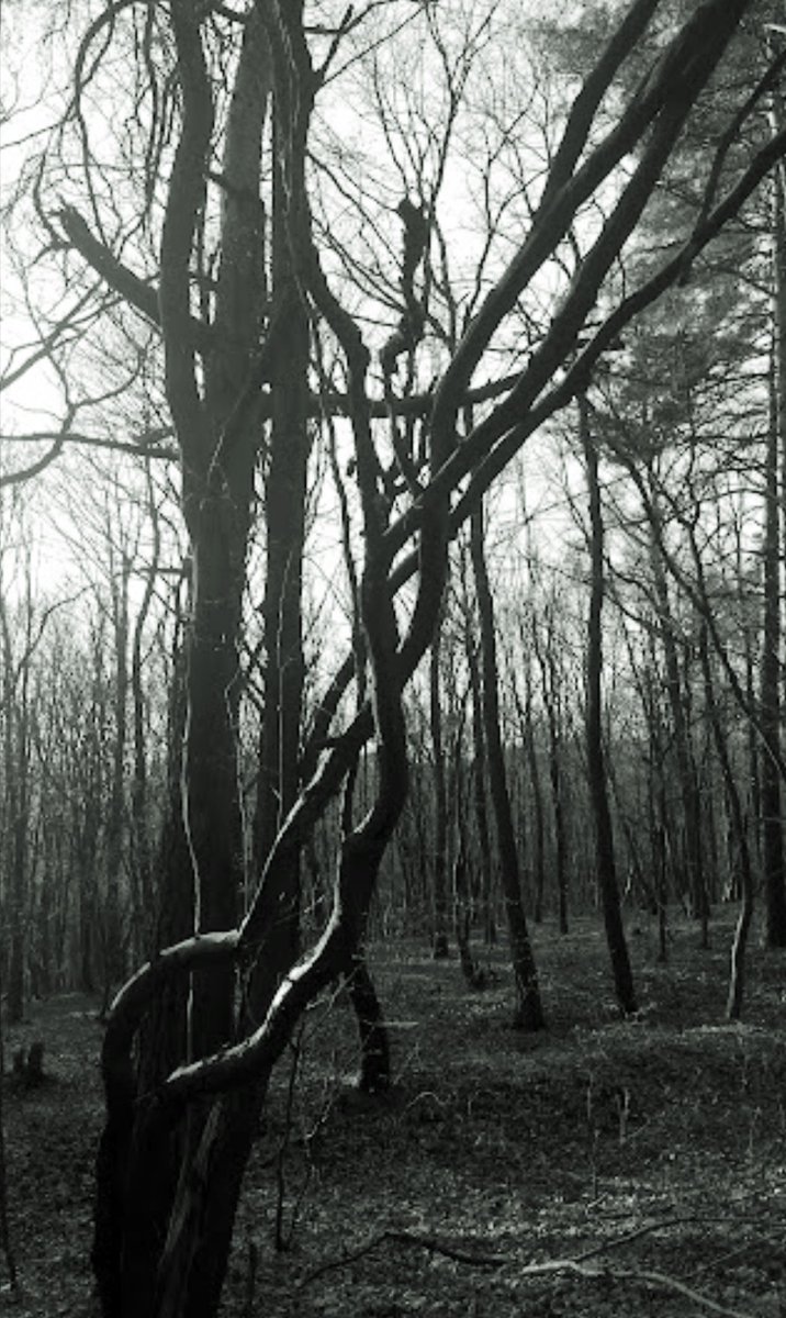 A strange day.......