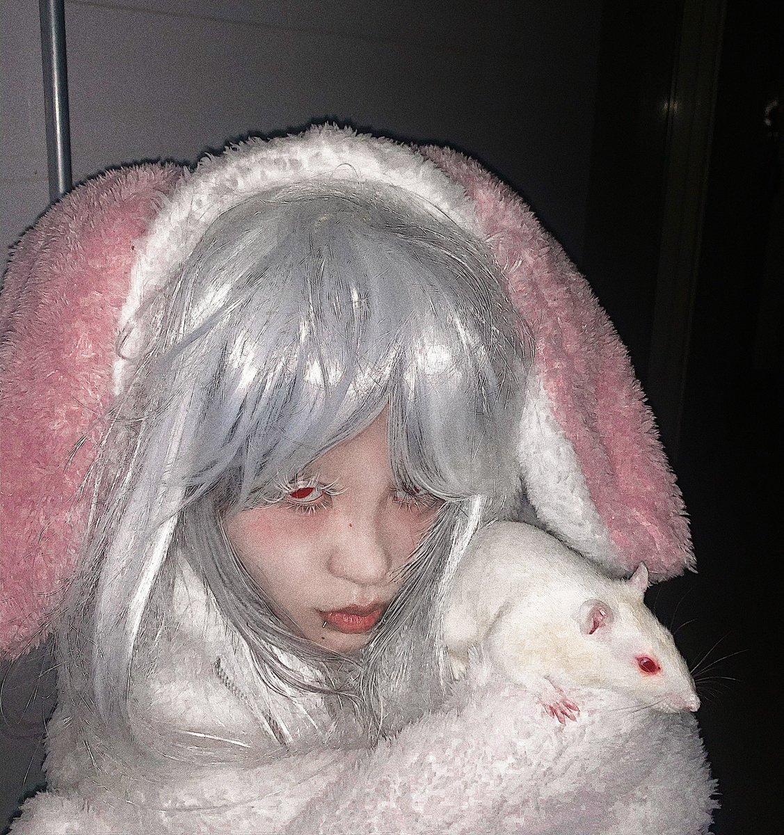 Killreality_com's tweet photo. My little angels ٩(๑❛ᴗ❛๑)۶ https://t.co/puarEiiIh0