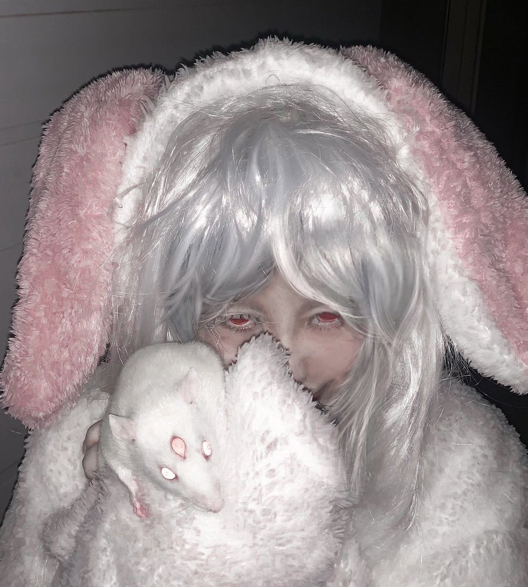 Killreality_com's tweet photo. My little angels ٩(๑❛ᴗ❛๑)۶ https://t.co/puarEiiIh0