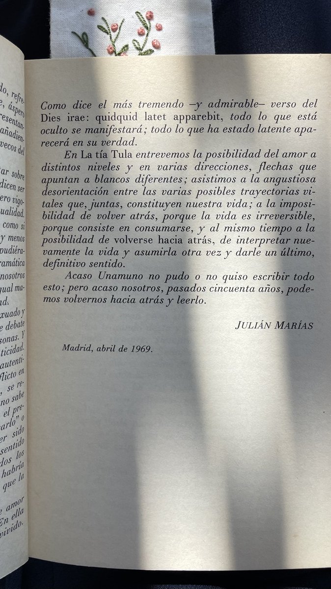 Los domingos al sol