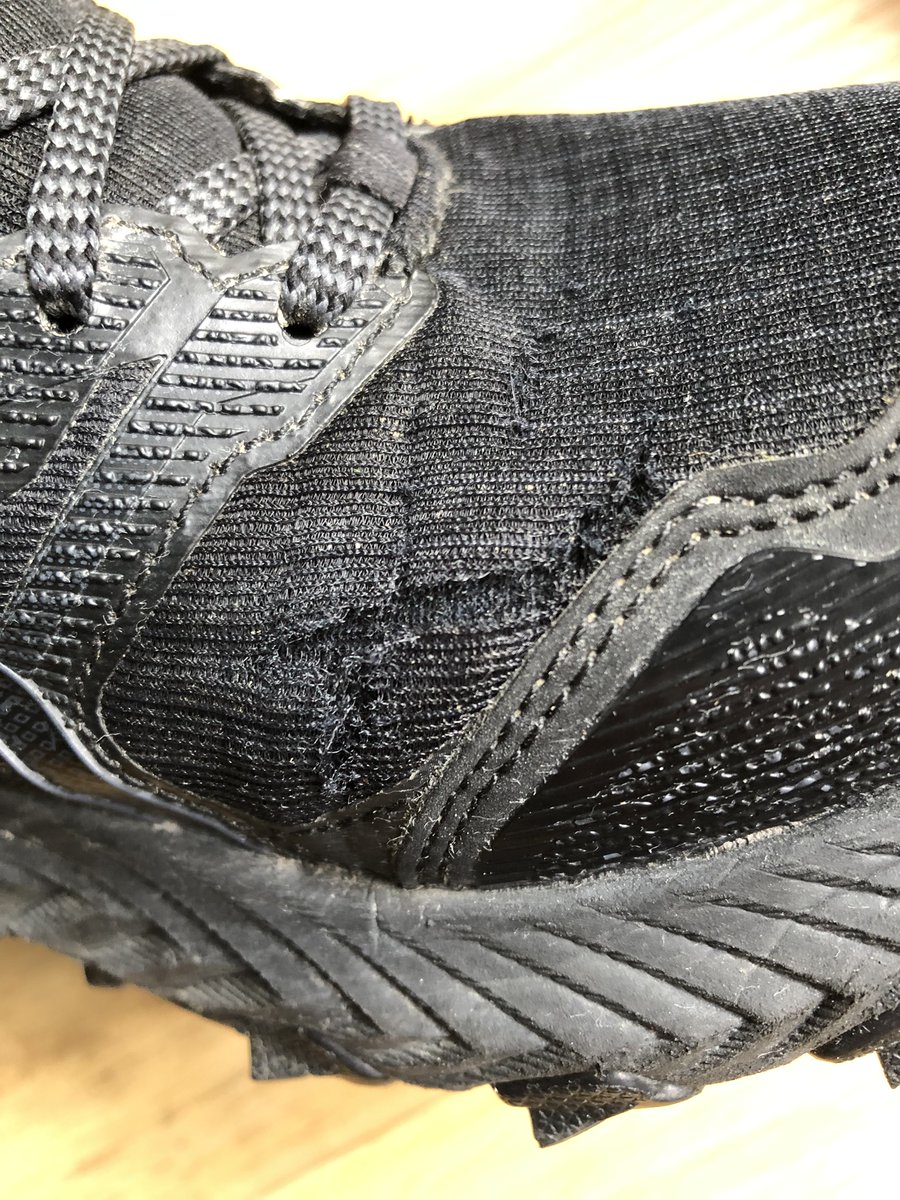 We Are Not Trees tweet media