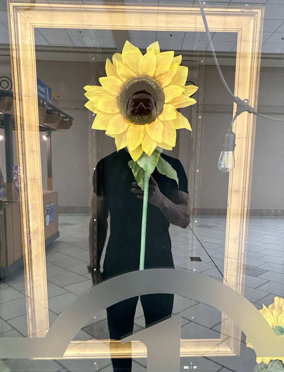 FinnBalor's tweet photo. Good morning 🌼 https://t.co/vvaBND4b7Q