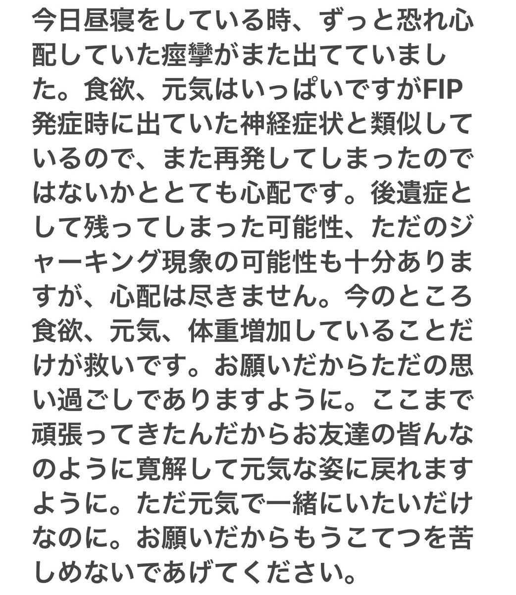 _kotekotetsu_'s tweet photo. クラウドファンディング残6日です！終了までもう時間がありません🆘皆様の温かいご支援、拡散・シェアいただければ嬉しいです🙇‍♀️😿

⬇️クラウドファンディング挑戦中です
達成率64.18％
目標達成まで 195,889円
https://t.co/8gmJuCvQBf https://t.co/jXvK48GjvB