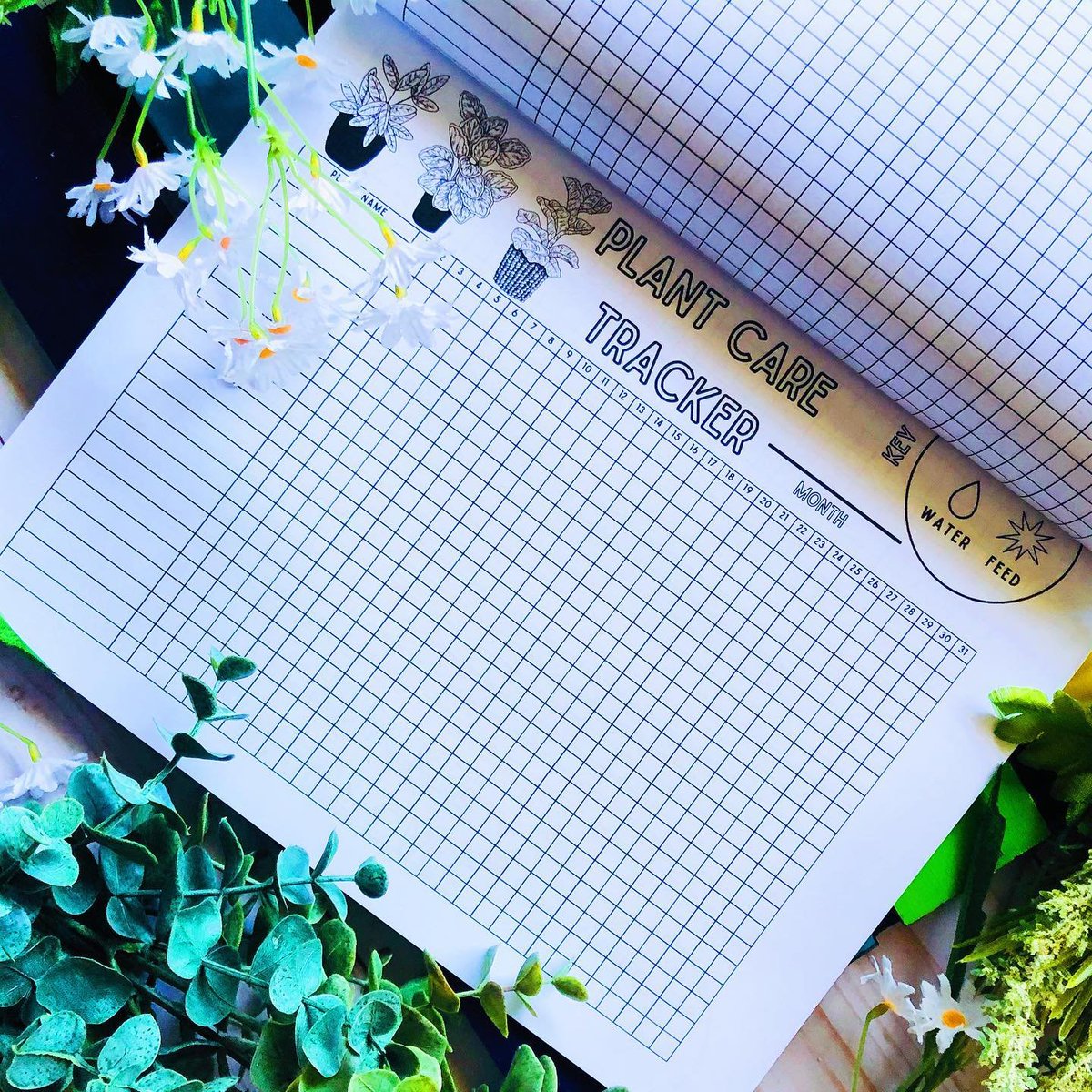 just restocked my Plant Journal books!!! get yours to track details about your plant cuties &amp; relax with some coloring pages!