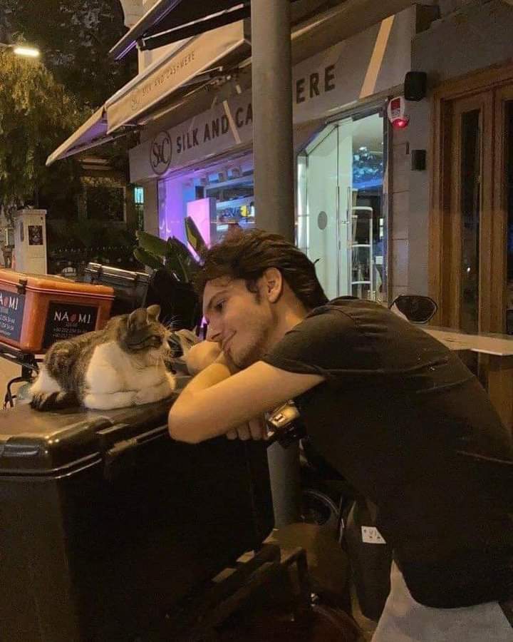Literally me everytime I see a cat <3