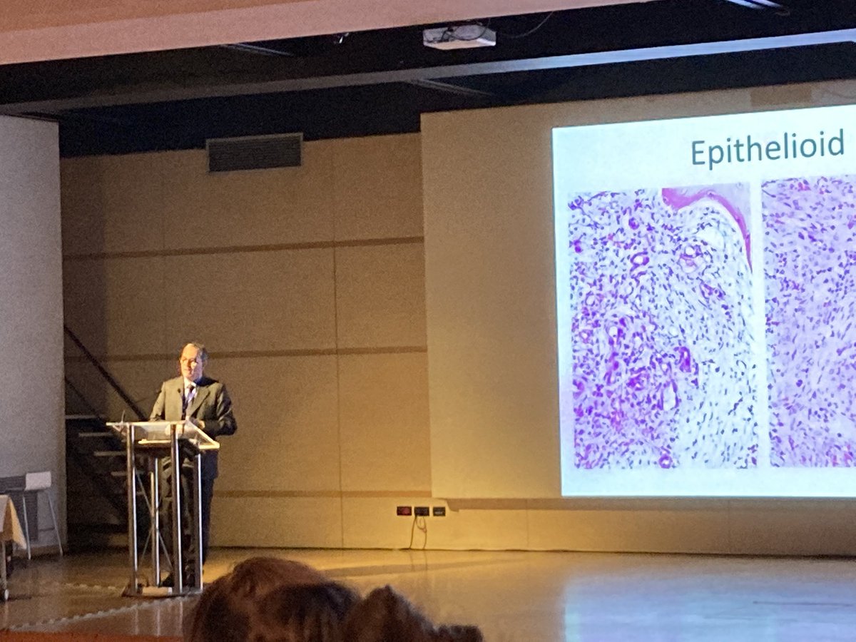 Fantastic course of soft tissue tumors in Padua. With Chris Fletcher, Paolo Dei Tos, Jason Hornick,… Happy to have been here !