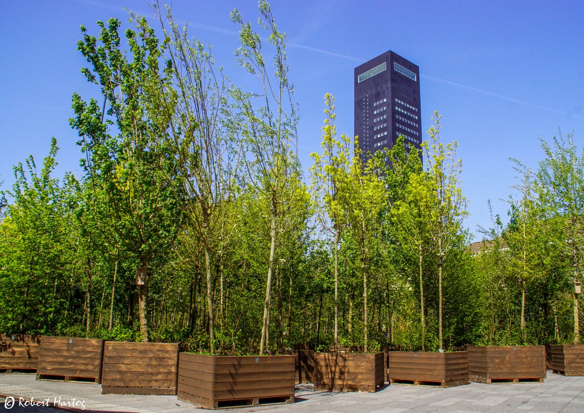 Schitterend weer in het Wandelende Bos #Leeuwarden #Bosz #Kunst  <a href="/nicolienkroon/">nicolienkroon</a> <a href="/WilliamHuizinga/">William Huizinga</a> <a href="/mrmiddendorp/">Maurice Middendorp</a> @weermanreinier <a href="/BuienRadarNL/">Buienradar</a> <a href="/marjondehond/">Marjon de Hond</a> @MarcdeJongRTL