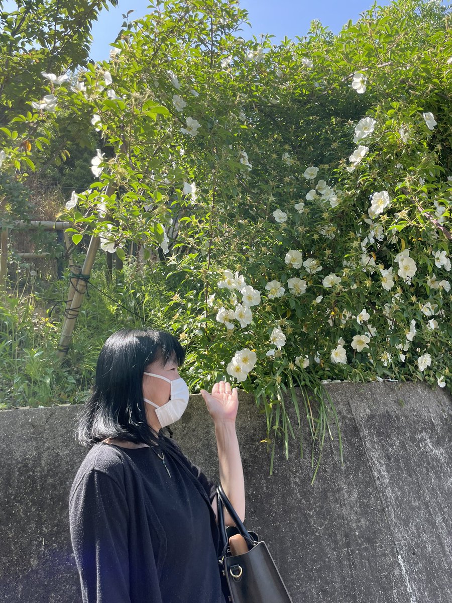 gyuna22's tweet photo. お母ちゃんと昼御飯

2人して「花、ホイッ」ポーズして楽しくなってる https://t.co/1TIv5cAHX5