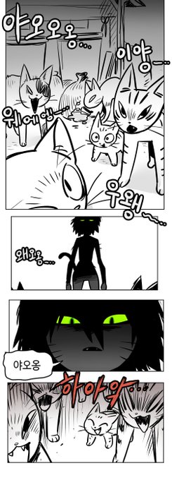 블랙쨩 