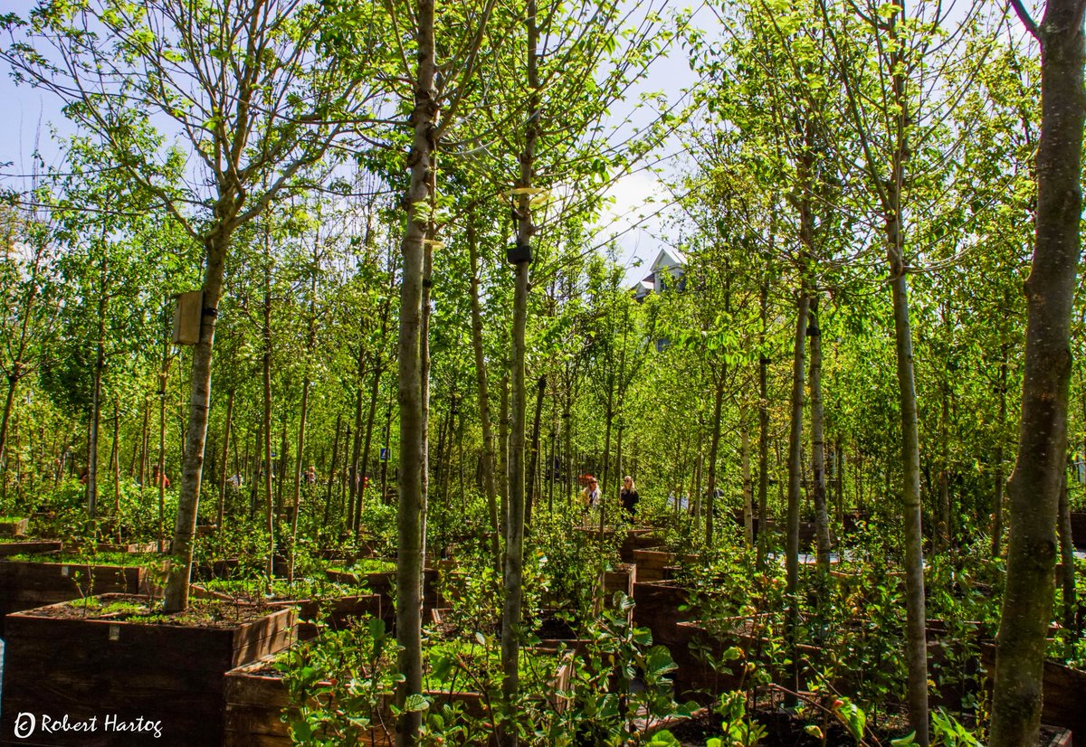 robert hartog tweet media