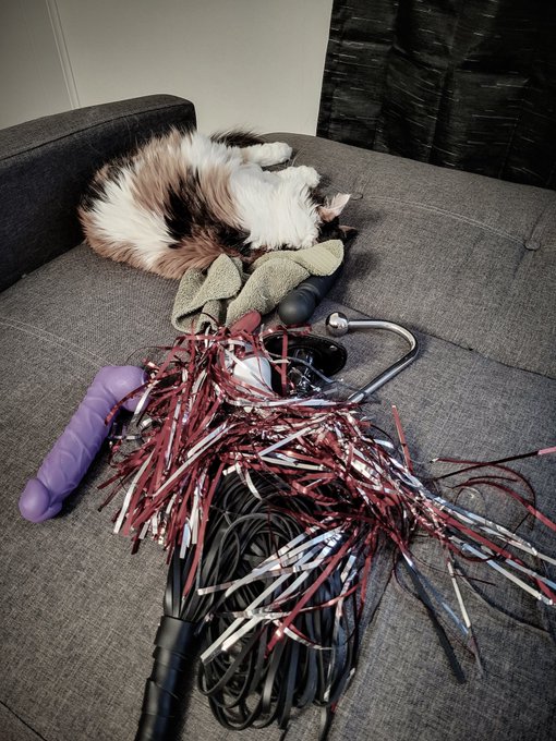 Why is my cat so obsessed with sleeping next to my toys??? https://t.co/fSjZNYQOHe<a href="/tag/blizzardof22"class="tags"><span>#blizzardof22</span></a><a href="/tag/shareyourweather"class="tags"><span>#shareyourweather</span></a>