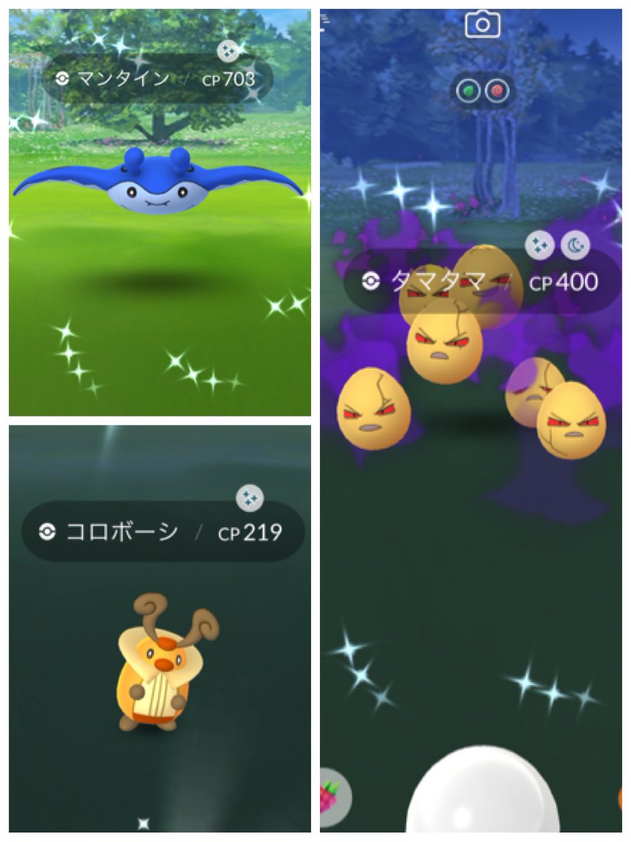 はち ポケモンgo 新潟 Hachi Pokego Twitter